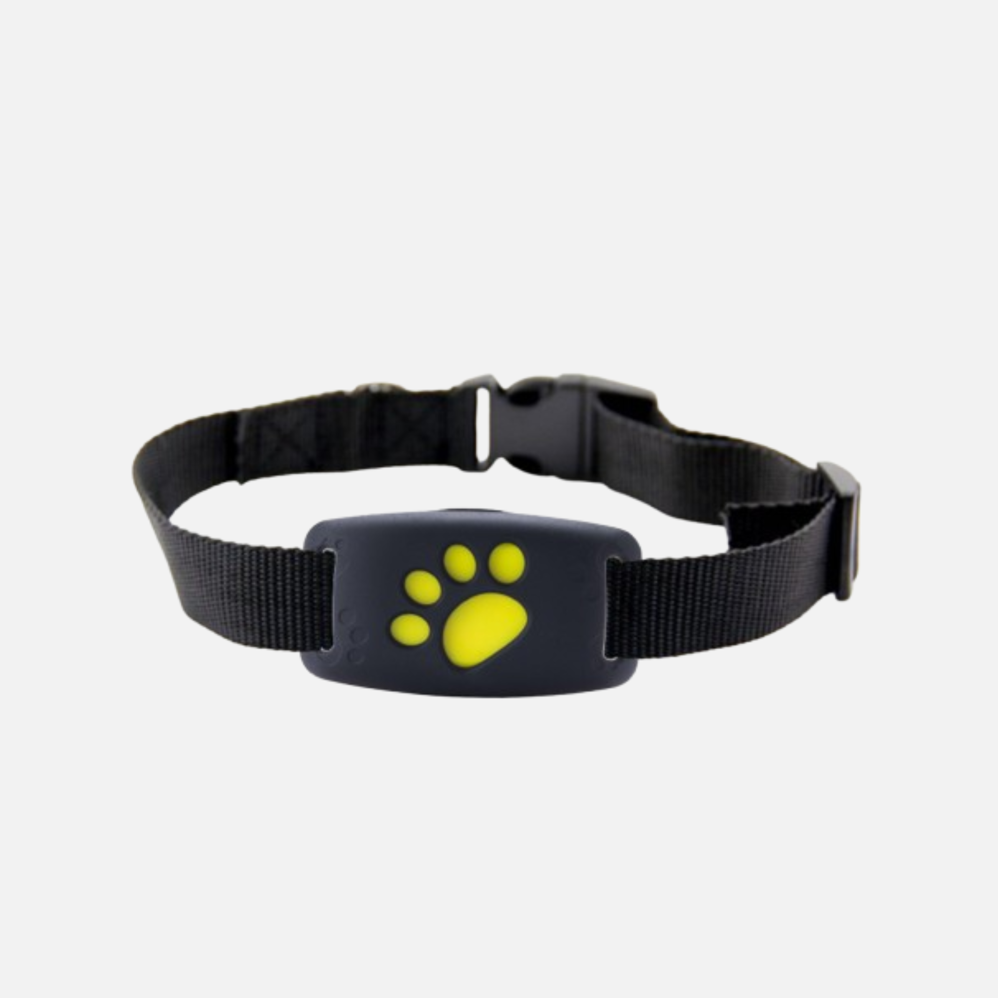 Pet Accessories