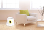 Dog Pet Automatic Interactive Ball Launcher - Styloqs