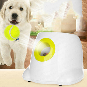 Dog Pet Automatic Interactive Ball Launcher - Styloqs