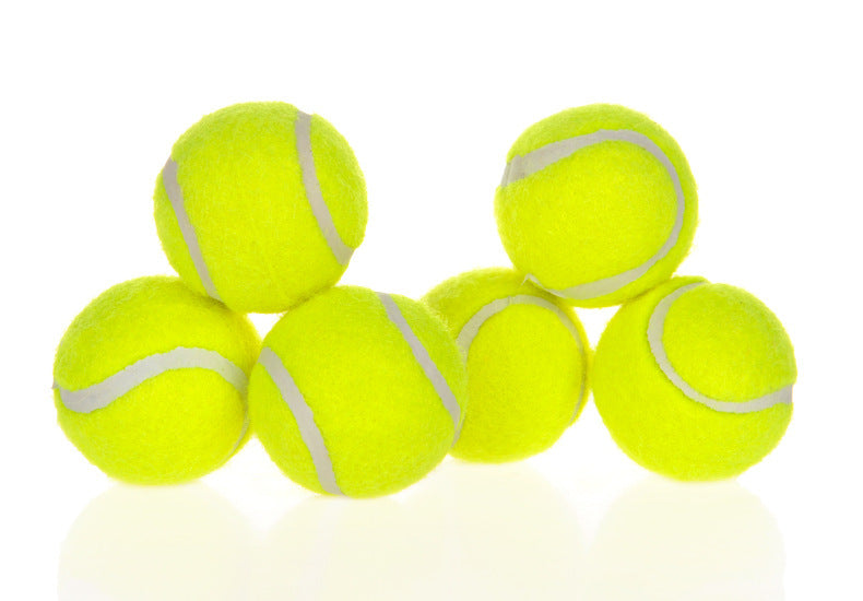 Dog Pet Automatic Interactive Ball Launcher - Styloqs