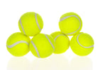 Dog Pet Automatic Interactive Ball Launcher - Styloqs