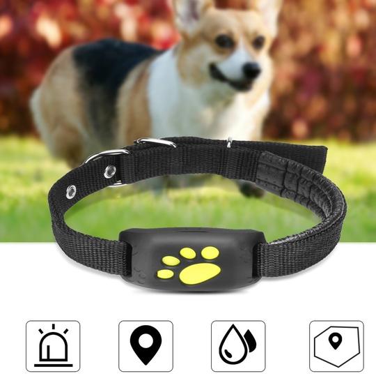 GPS Dog Collar Pro