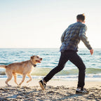 Smart GPS Dog Collar
