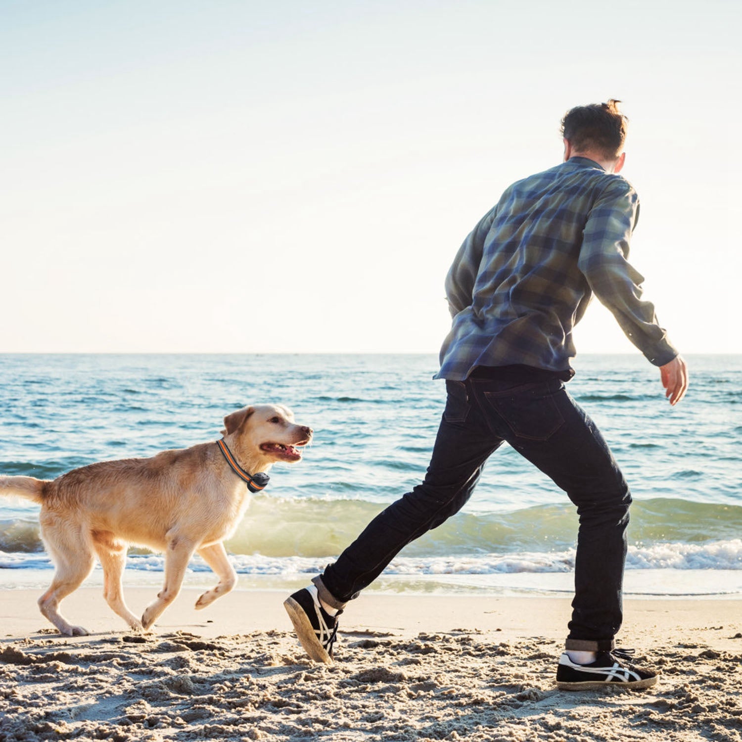 Smart GPS Dog Collar