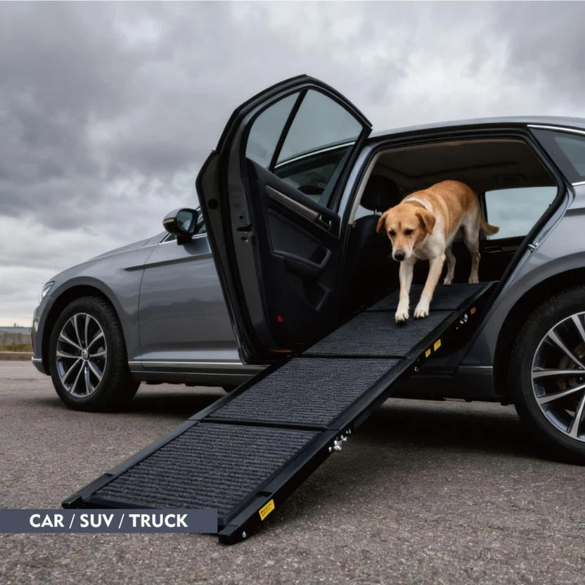 Premium Dog Travel Bundle — 71" Ramp, Seat Belts & Waterproof Cover