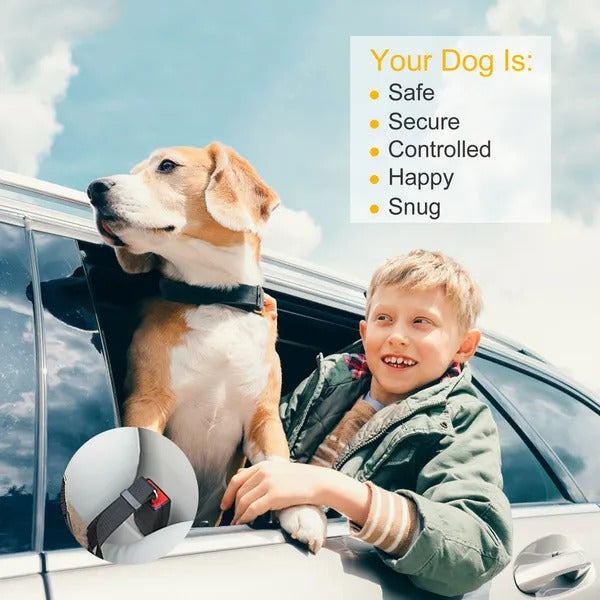 Premium Dog Travel Bundle — 71" Ramp, Seat Belts & Waterproof Cover