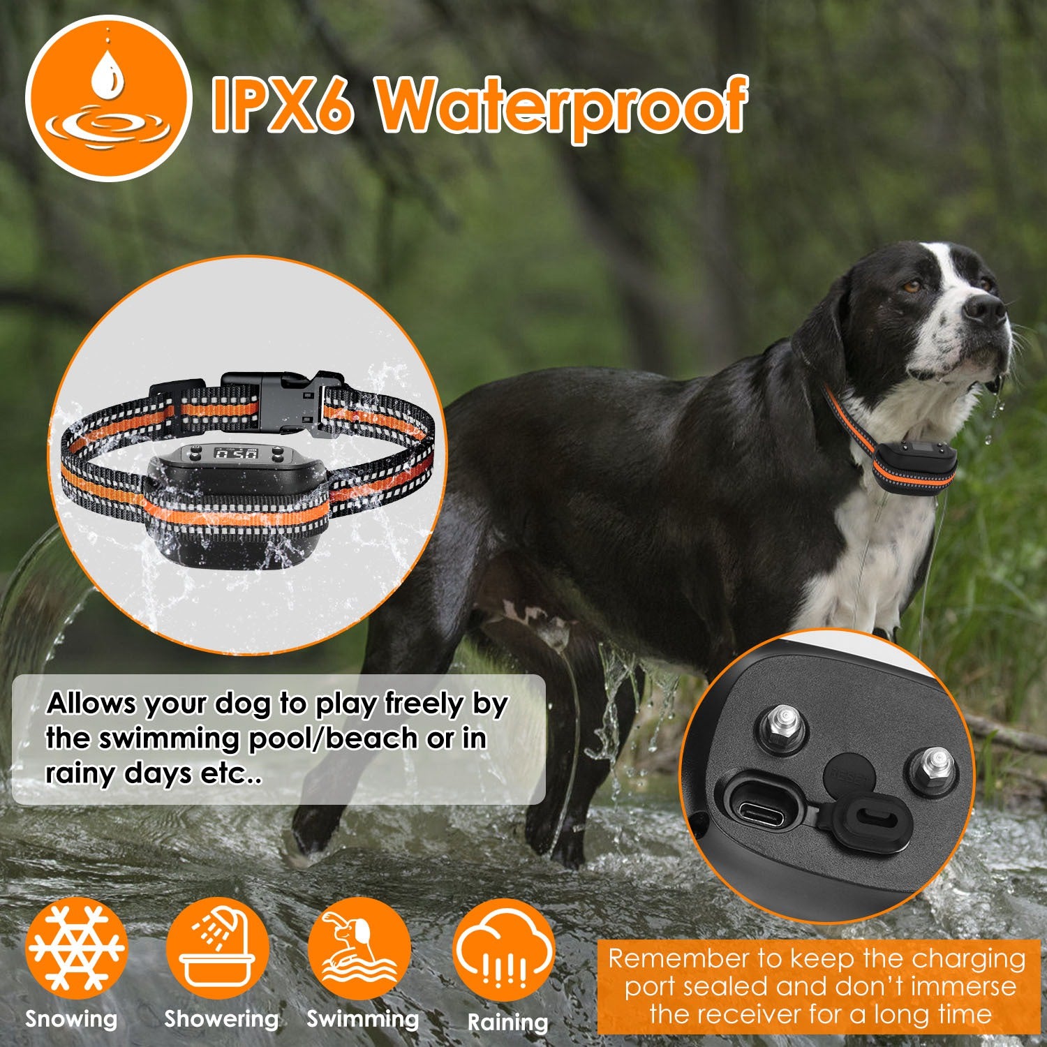 Smart GPS Dog Collar